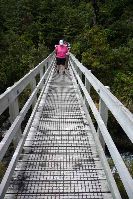 Nieuw-Zeeland 2011 - 0836